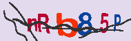 Code captcha